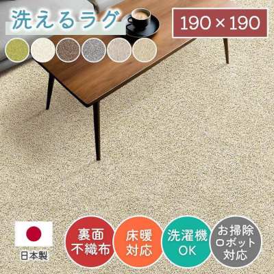 新品本物 【200cm×250cm 3畳】 3畳 【カラー：ベージュ 長方形