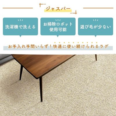 洗濯機使用可能なシンプルなラグ 江戸間6畳 お掃除ロボット・床暖対応