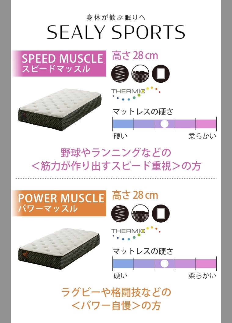 開梱設置】シーリー Sealy シーリースポーツ シナジー SD セミダブル
