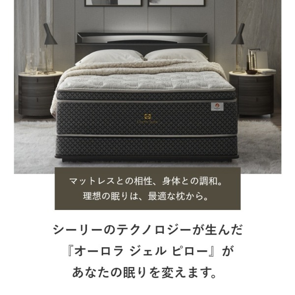 �A�C�e���C���[�W