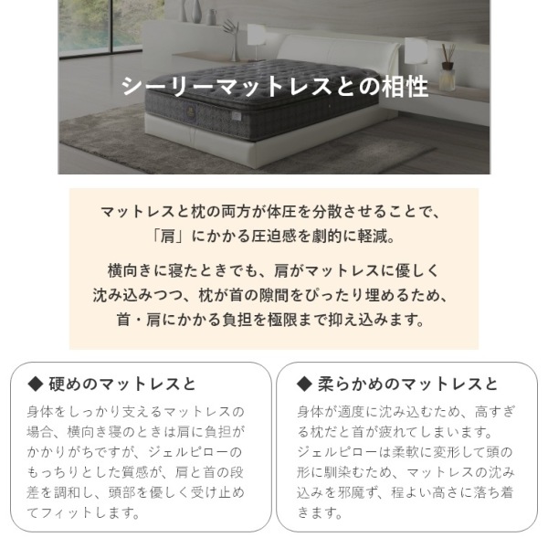 �A�C�e���C���[�W