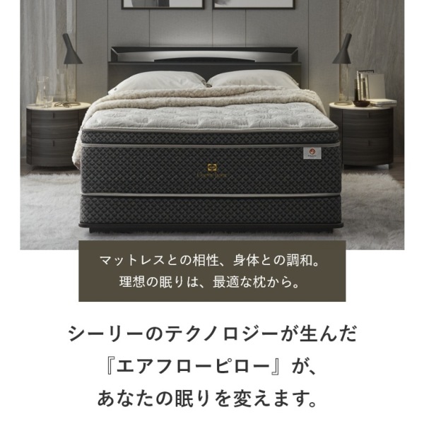 �A�C�e���C���[�W