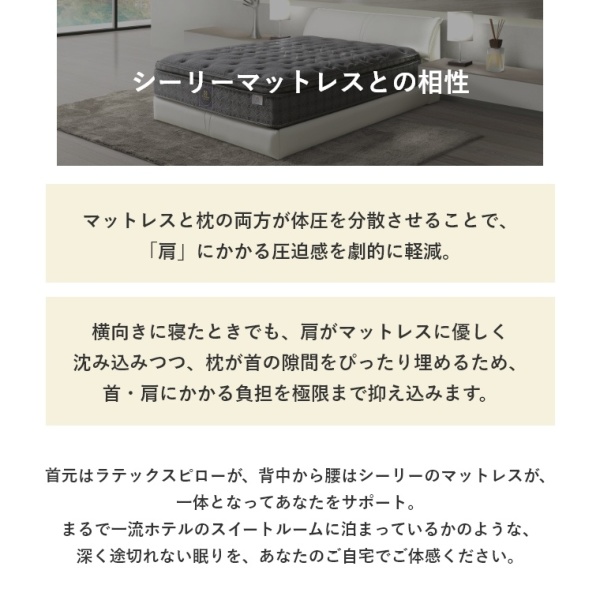 �A�C�e���C���[�W