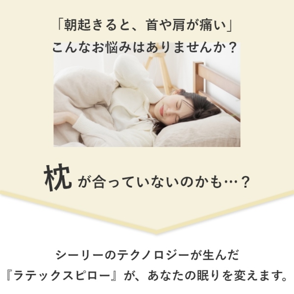 �A�C�e���C���[�W