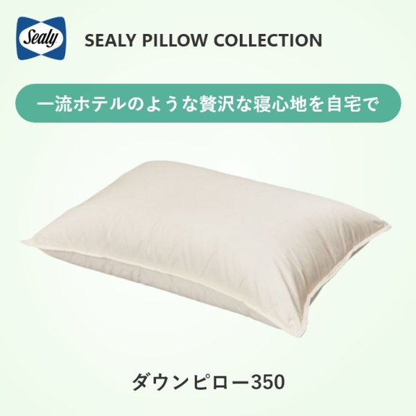 �A�C�e���C���[�W