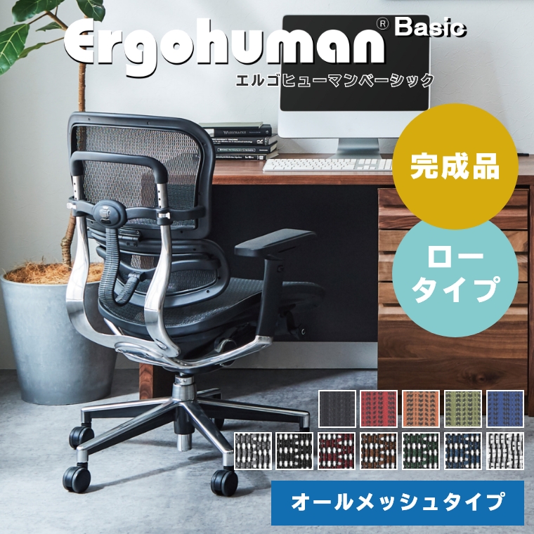 【組立不要】 エルゴヒューマン ベーシック オールメッシュタイプ ヘッドレスト無し ロータイプ EH-LAM オフィスチェア  （ワークチェア/デスクワーク/在宅勤務/開梱設置）