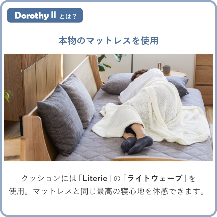 専用カバー単品】 Dorothy2 ドロシー2 らくらくカバー 幅200cm