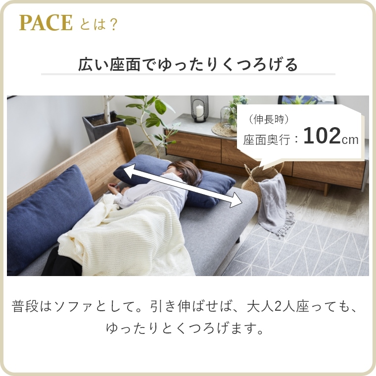 専用カバー単品】 PACE ペース ドロシー2 らくらくカバー 幅180cm