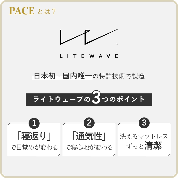 専用カバー単品】 PACE ペース ドロシー2 らくらくカバー 幅180cm （ソファー/ソファーベッド/ごろ寝ソファー/専用カバー/簡易的カバー/無地）  家具のホンダ インターネット本店 ラグ・カーペット・じゅうたん・テーブルマット匠の通販サイト