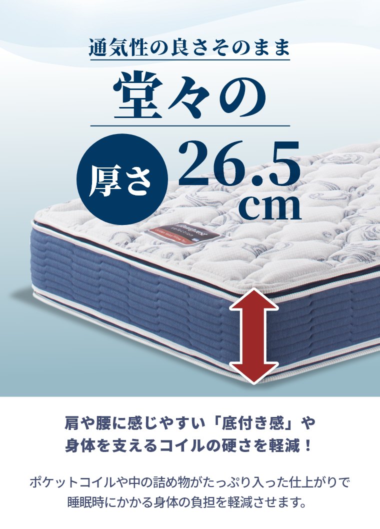 �V�����Y �}�b�g���X �S�[���f���o�����[ �s���[�g�b�v �Z���N�V���� �_�u�� 26.5cm�� 6.5�C���` AB2101A �J���ݒu