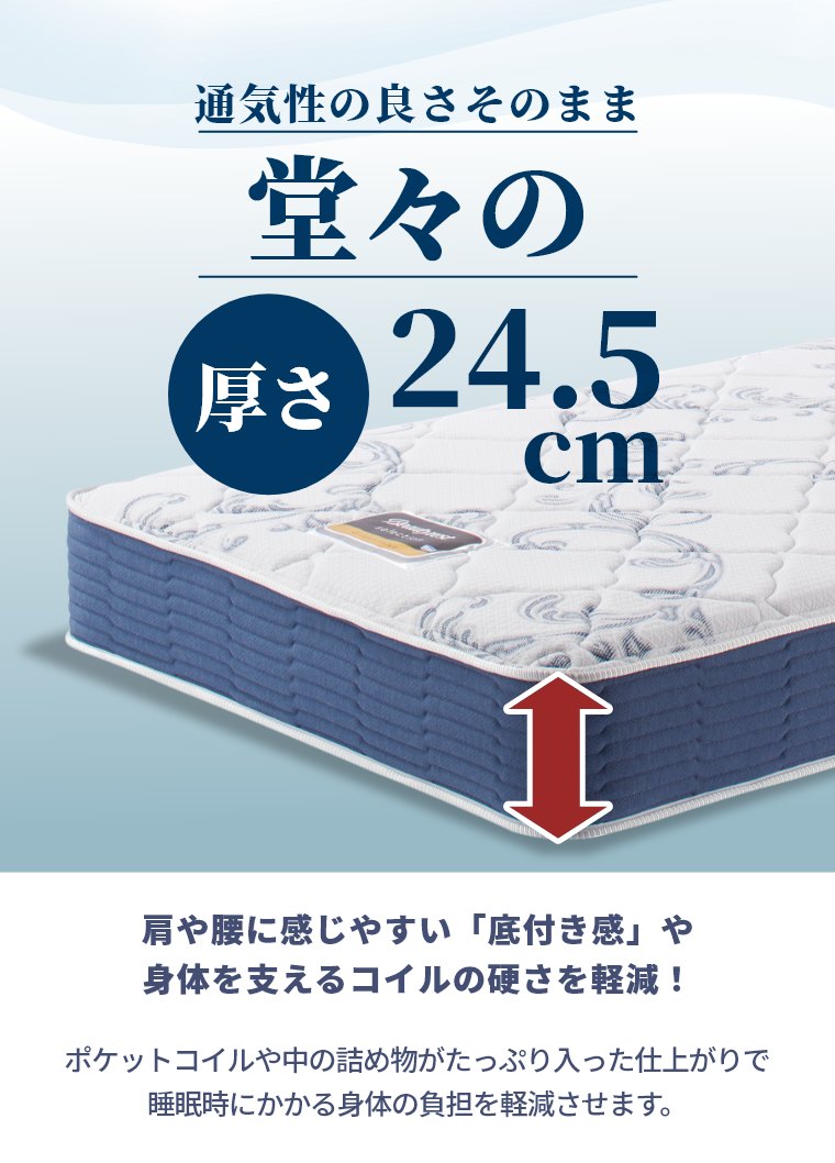 �V�����Y �}�b�g���X �S�[���f���o�����[ �Z���N�V���� �N�C�[�� 24.5cm�� 6.5�C���` AB2111A �J���ݒu