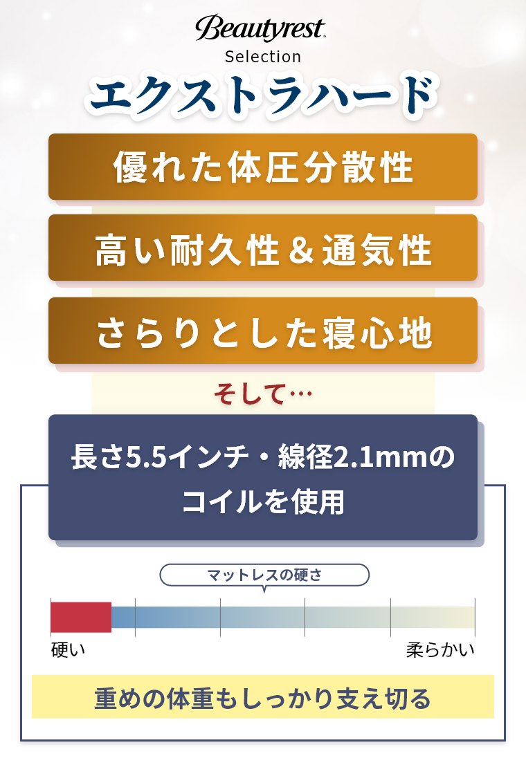 �V�����Y �}�b�g���X �G�N�X�g���n�[�h �Z���N�V���� �Z�~�_�u�� 23cm�� 5.5�C���` AB2121A �J���ݒu