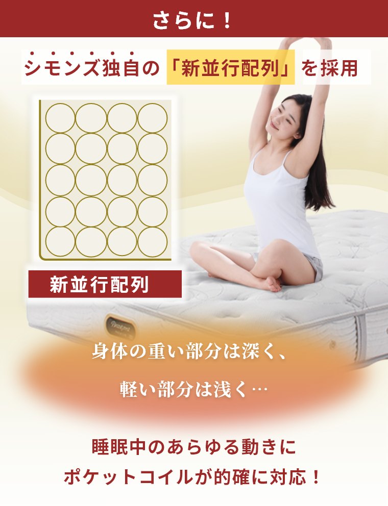 �V�����Y �}�b�g���X ���M�����[ �Z���N�V���� �Z�~�_�u�� 22cm�� 5.5�C���` AB2131A �J���ݒu