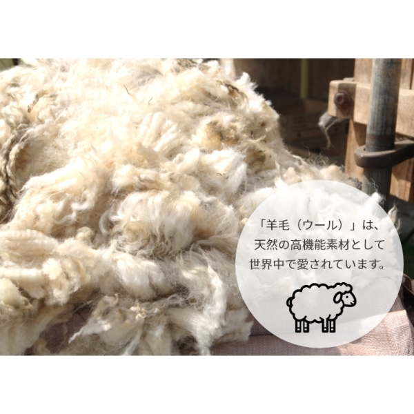 �A�C�e���C���[�W