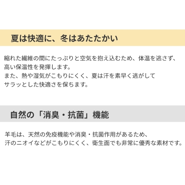 �A�C�e���C���[�W