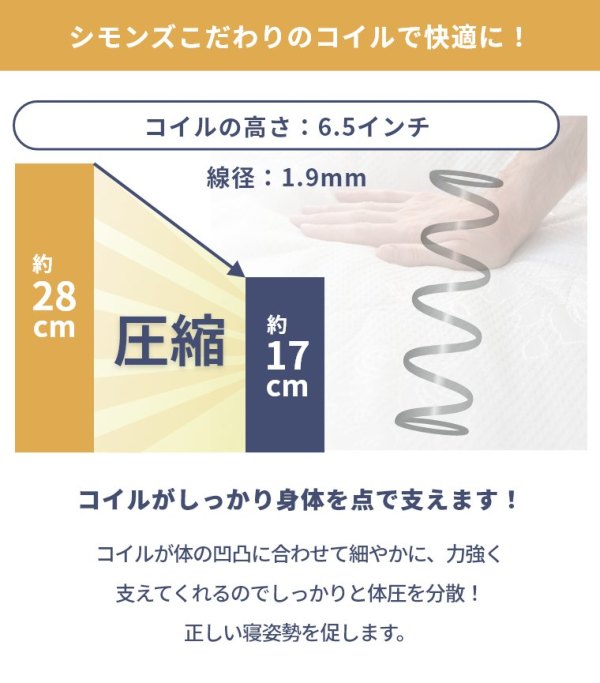VY NX2 xbht[ tbg^Cv ̂ }bgX M[ Jݒu _u Di23.5cm^6.5C`^ot^AB20005^SR1620064^˂̂^̂xbh^Zbgj