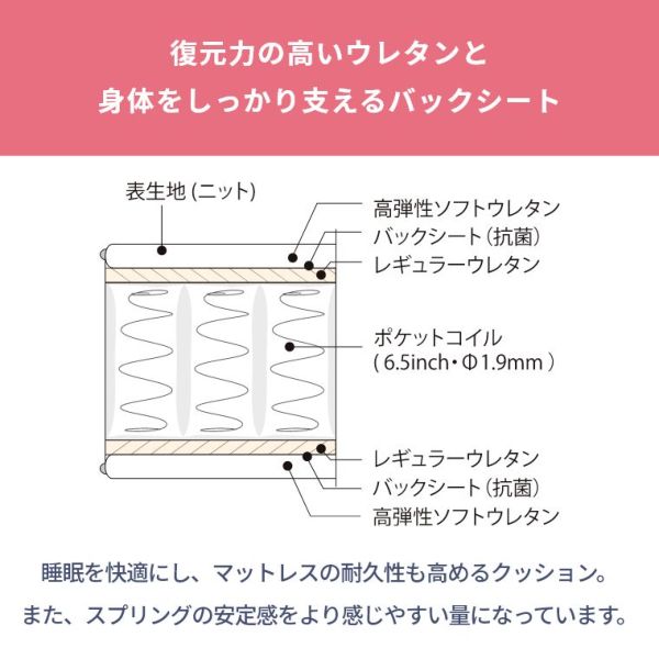 ACeC[W