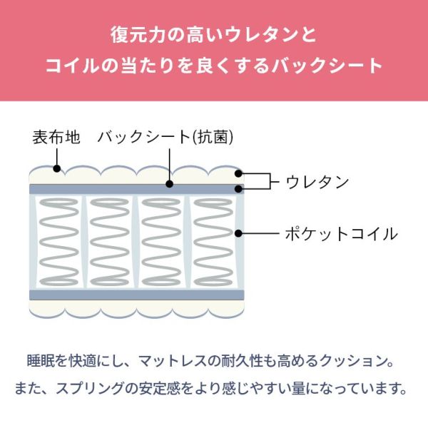 ACeC[W