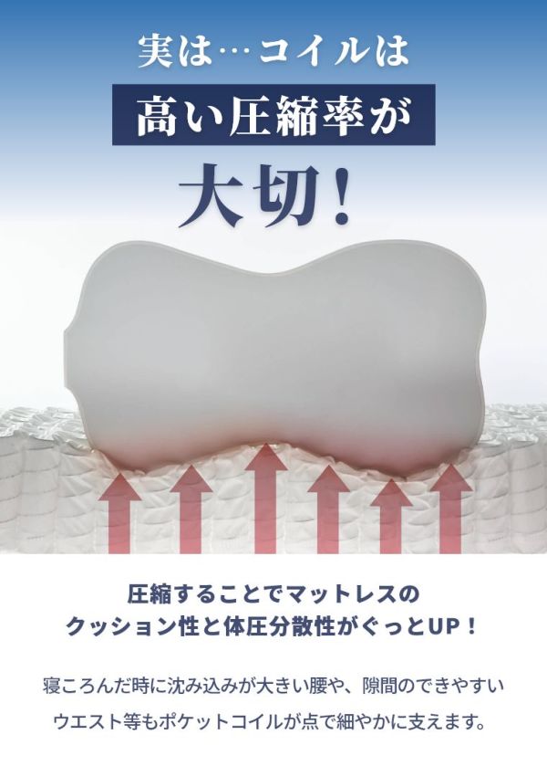 ACeC[W