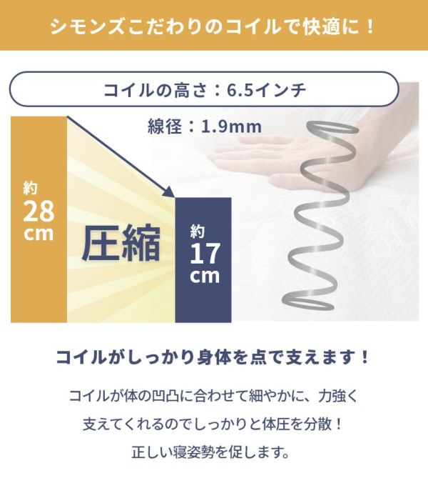 ACeC[W