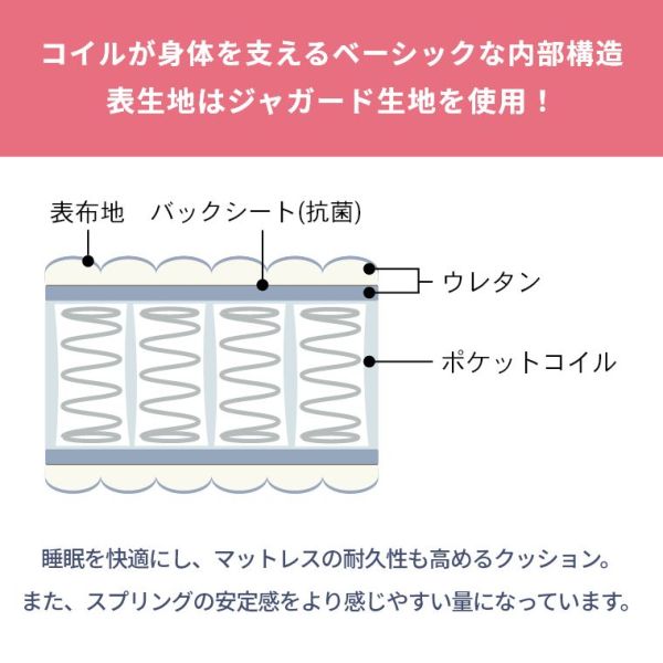 ACeC[W