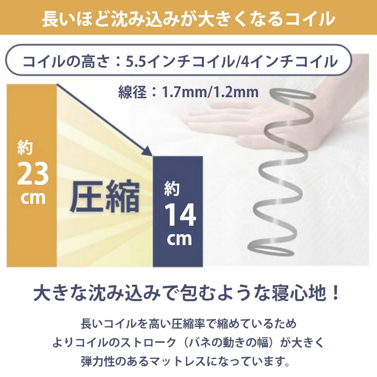 �A�C�e���C���[�W