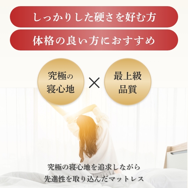 �A�C�e���C���[�W