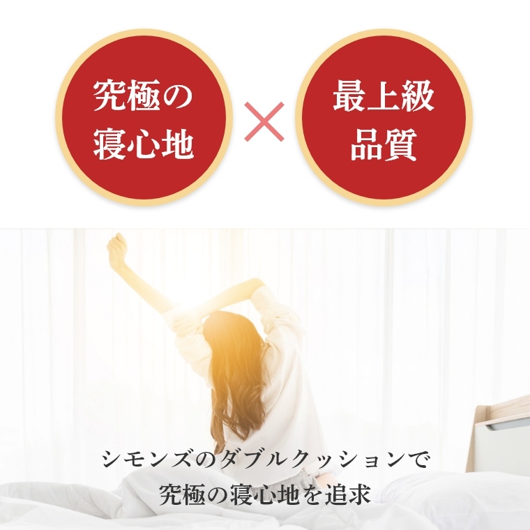 �A�C�e���C���[�W