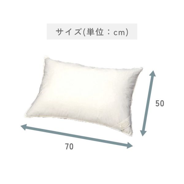 �A�C�e���C���[�W