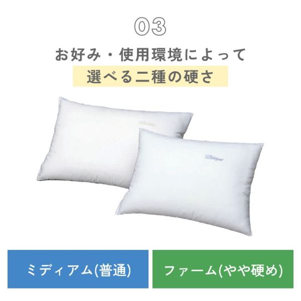 �A�C�e���C���[�W