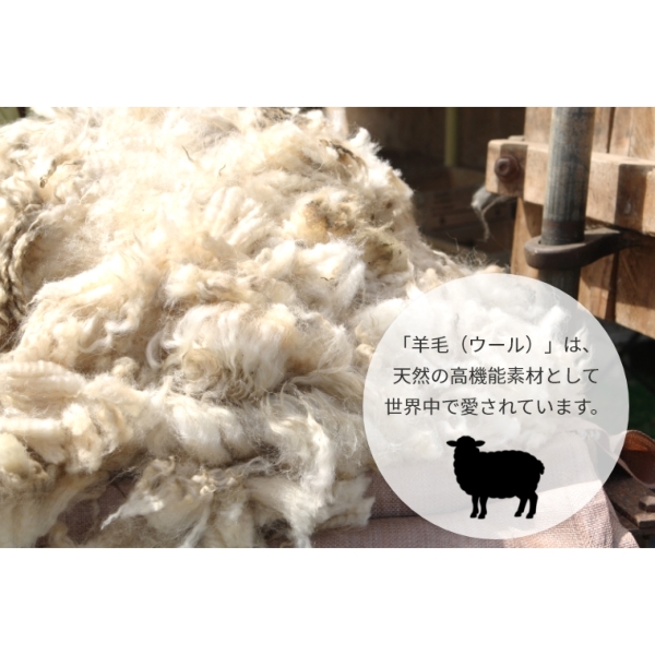 �A�C�e���C���[�W