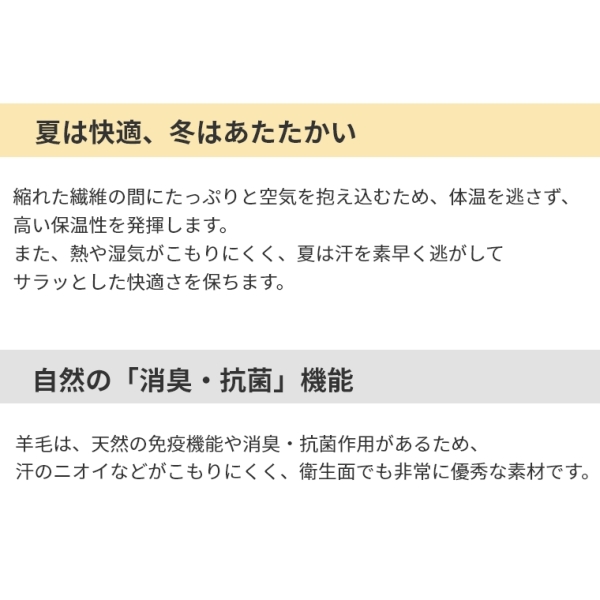 �A�C�e���C���[�W