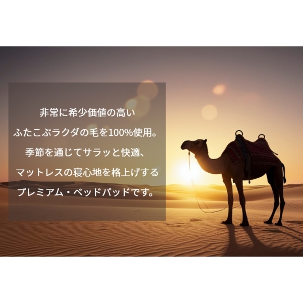 �A�C�e���C���[�W