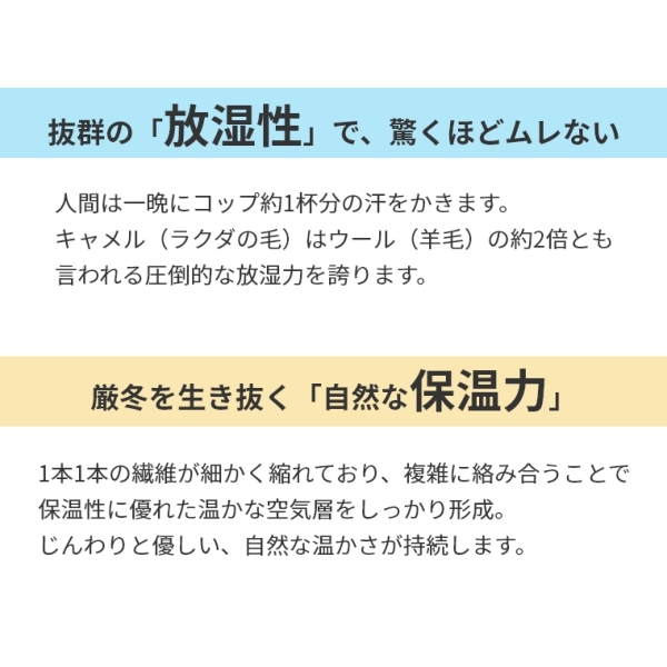 �A�C�e���C���[�W