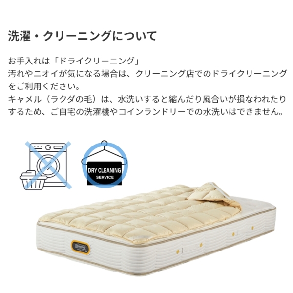 �A�C�e���C���[�W