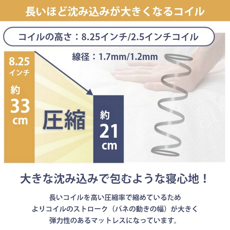 �A�C�e���C���[�W