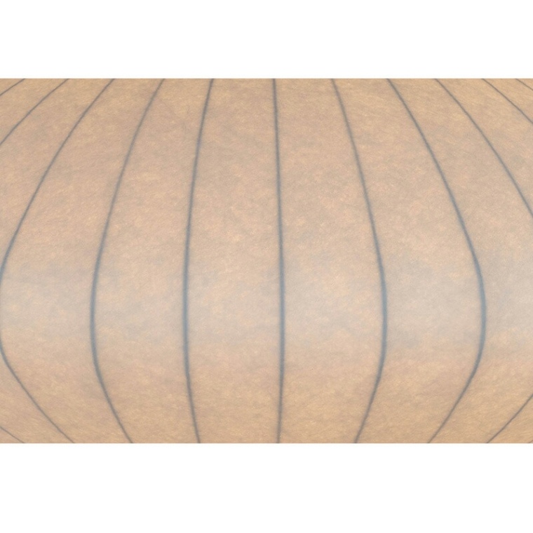 ACeC[W