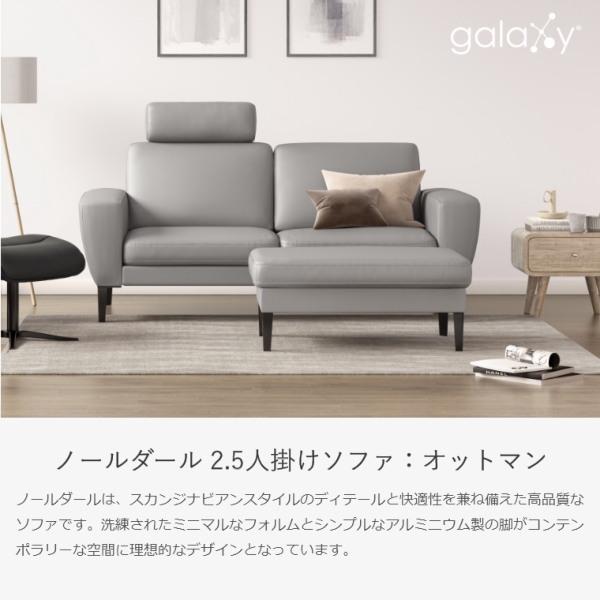 開梱設置】ギャラクシー galaxy® ノールダール ソファ 2.5人掛け