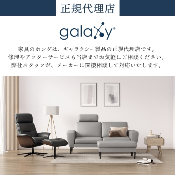 開梱設置】ギャラクシー galaxy® ノールダール ソファ 2.5人掛け