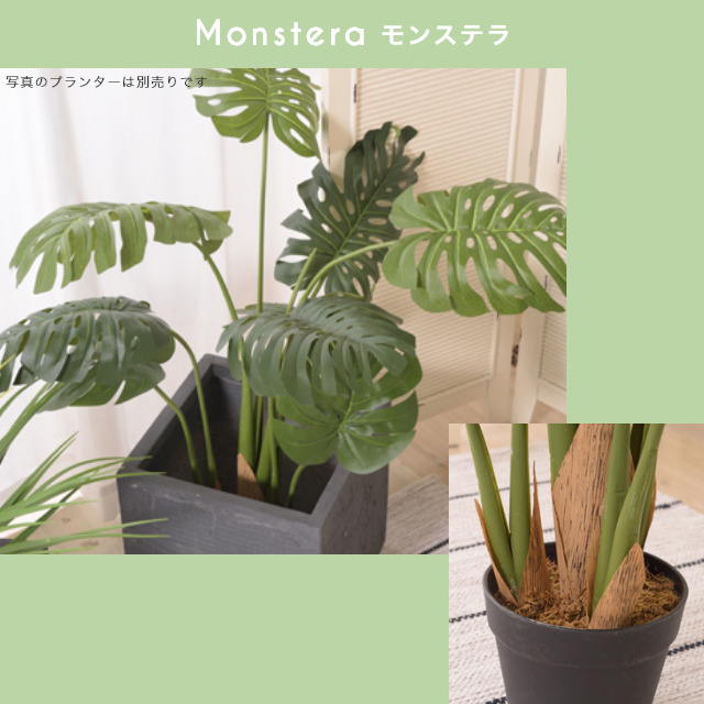 手軽にお部屋に緑を！ 人工観葉植物 フェイクグリーン モンステラ