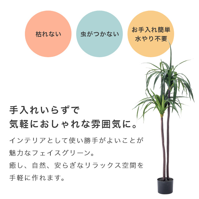 手軽にお部屋に緑を！ 人工観葉植物 フェイクグリーン ドラセナ 家具の