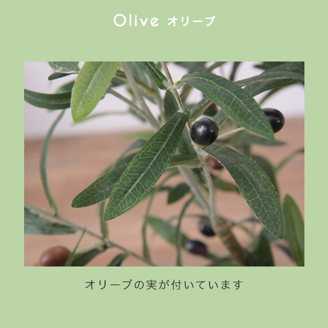 手軽にお部屋に緑を 人工観葉植物 フェイクグリーン オリーブ 家具のホンダ インターネット本店 ラグ カーペット じゅうたん テーブルマット匠の通販サイト