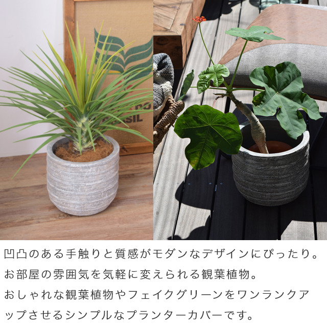 観葉植物をセンス良くおしゃれに飾れる 底穴付き観葉植物用プランター Grnb 1 Grnb 3 Grnb 4 家具のホンダ インターネット本店 ラグ カーペット じゅうたん テーブルマット匠の通販サイト