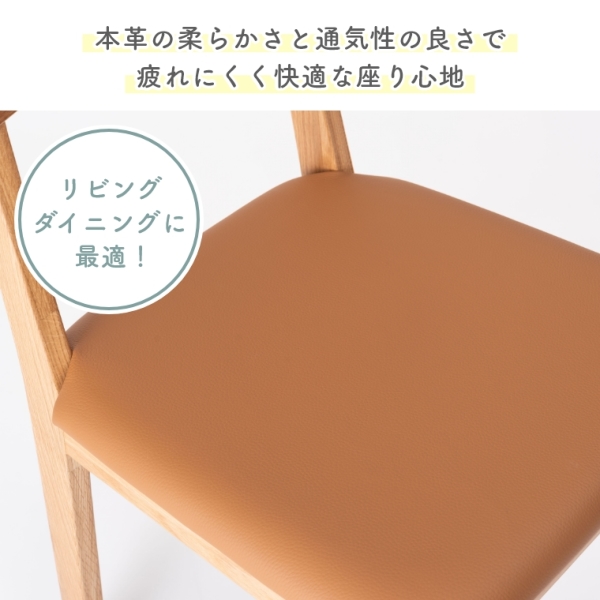 天然木と本革を組み合わせたダイニングチェア F7-111 東谷 form