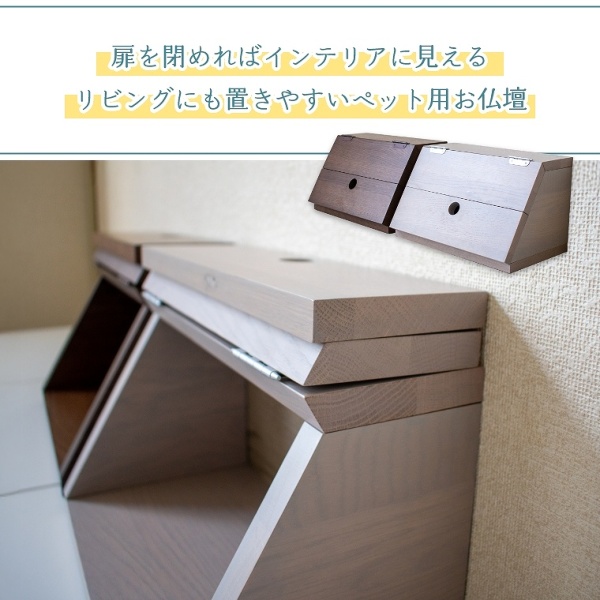 ACeC[W