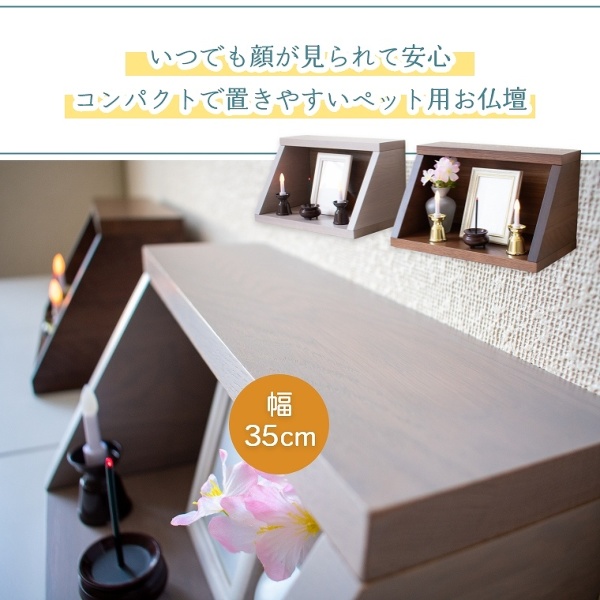ACeC[W