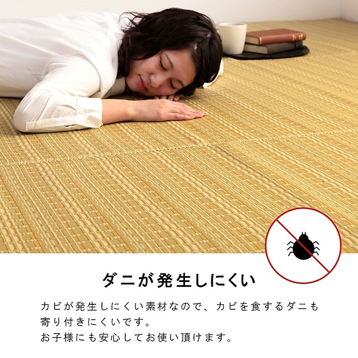 汚れに強い！ふき取るだけでお掃除ＯＫ！洗える い草調ラグ ...