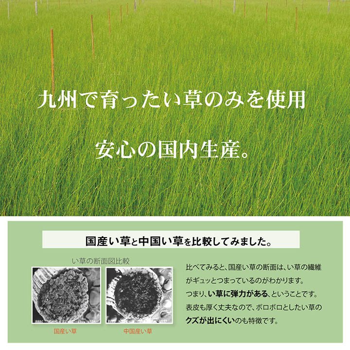 日本製のい草のお昼寝マット 約70×120cm イケヒコ