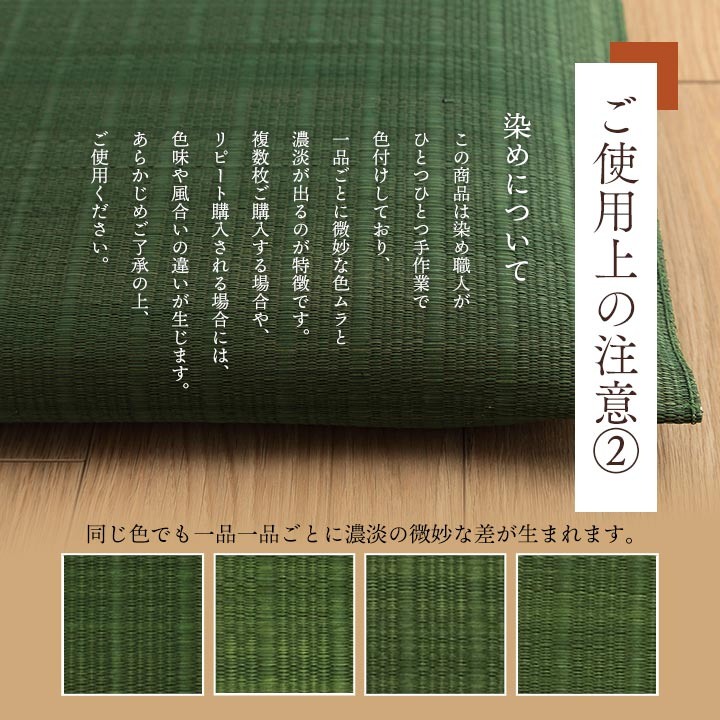 3層構造でへたりにくい い草の座布団 同色2枚セット 55×55cm イケヒコ 