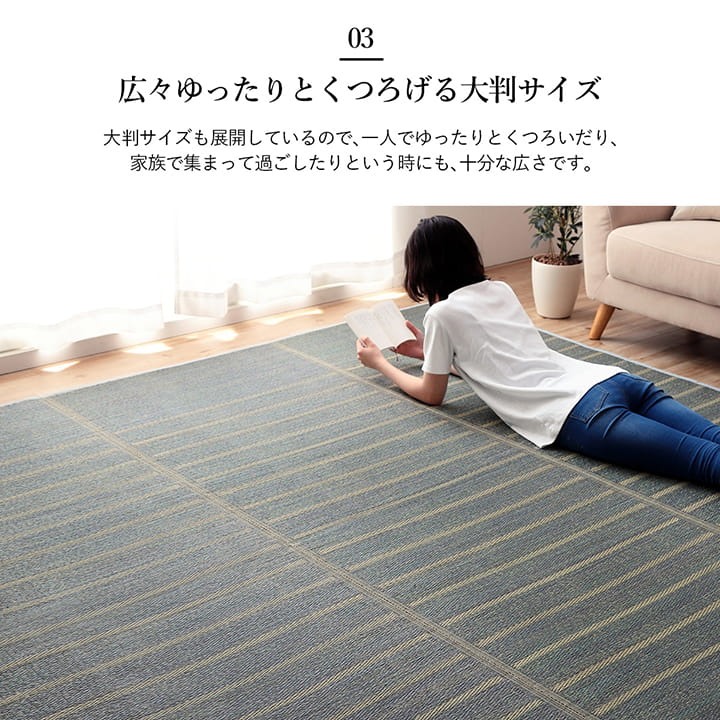 シンプルなボーダー柄デザインのい草ラグ 240×240cm イケヒコ (耐久性